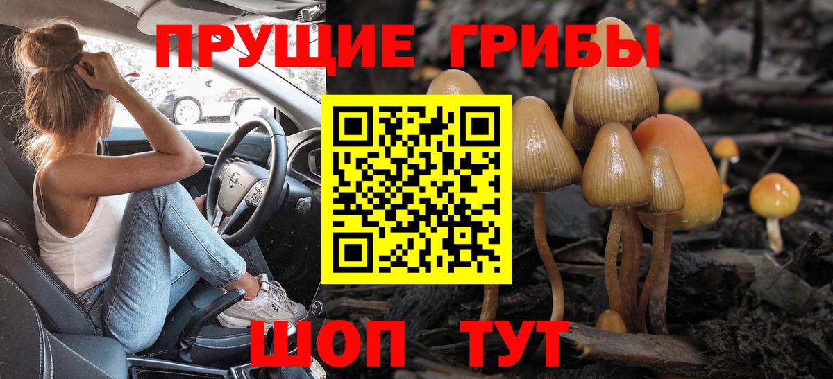 Галлюциногенные грибы прущие грибы Елец