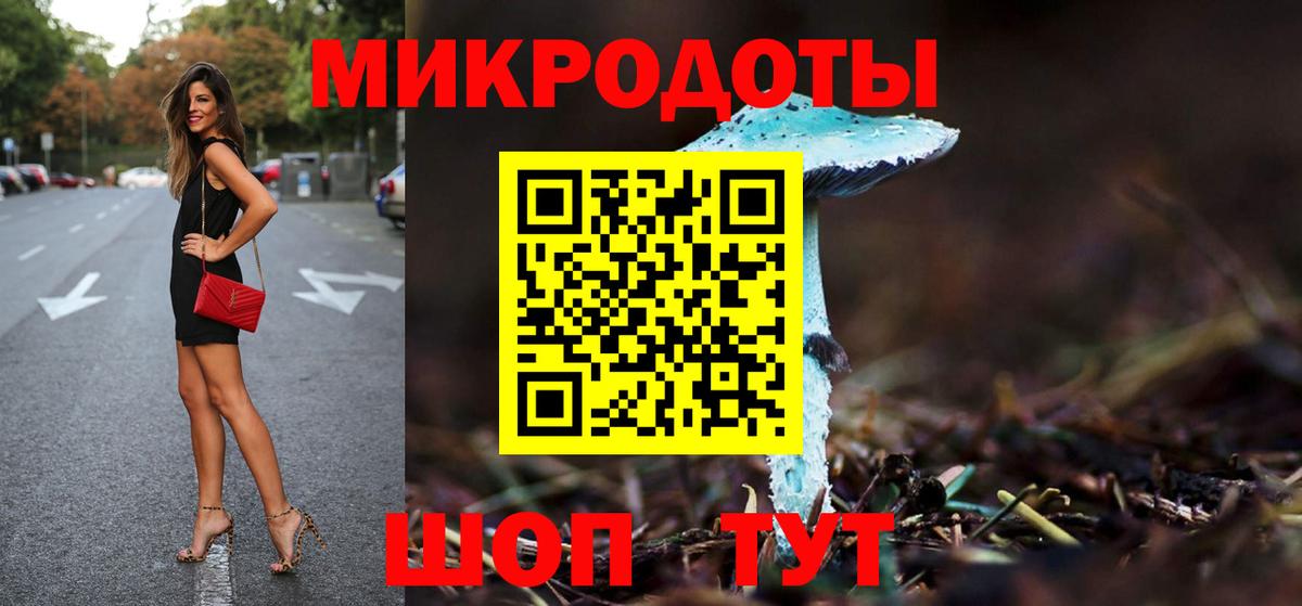 Псилоцибиновые грибы Psilocybe  Вход с VPN  Елец 